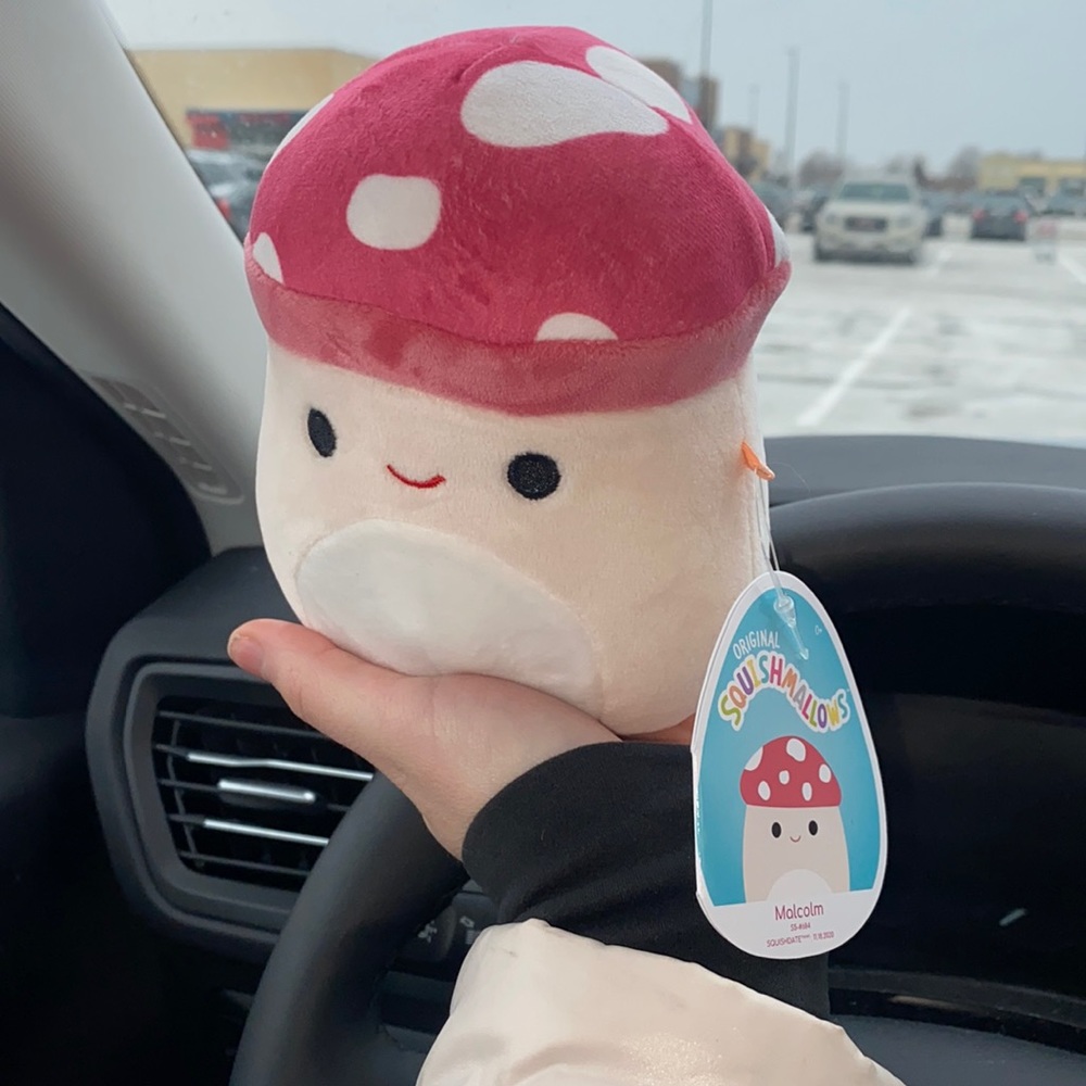BNWT 5 inch Malcolm squishmallow